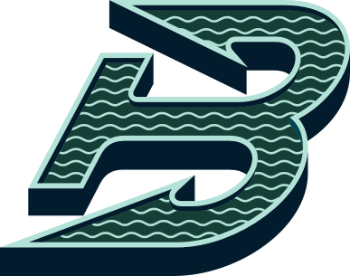 PWHL Boston Fleet logo